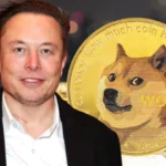 Мем-криптовалюта Dogecoin випередила Bitcoin: що це означає для інвесторів